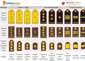 Ingin Masuk SIPSS? Simak Dulu Persyaratan dan Jenjang Kariernya